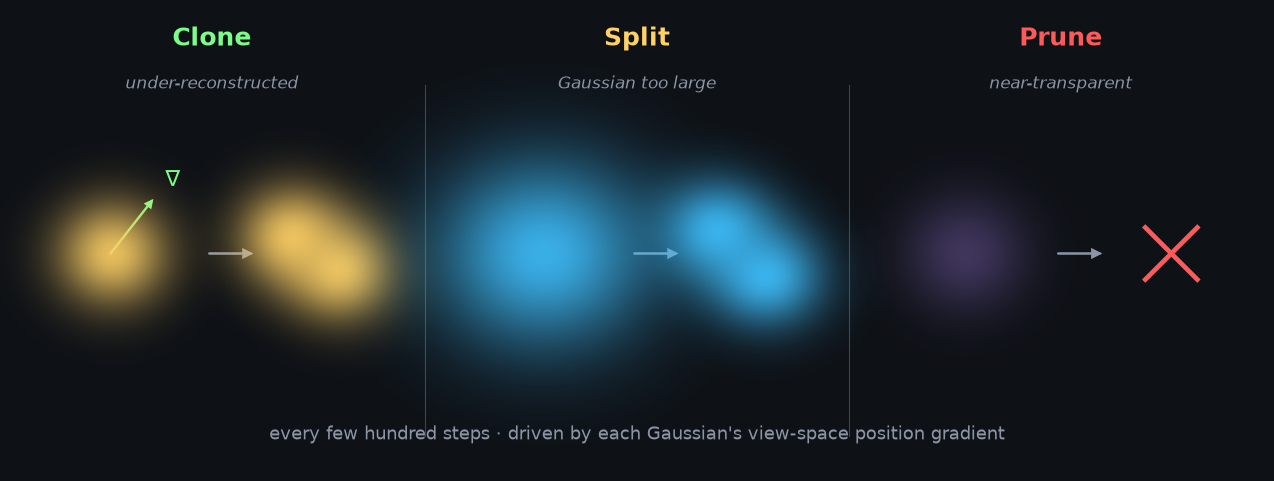 Adaptive density control: clone under-reconstructed Gaussians, split over-large ones, and prune near-transparent ones