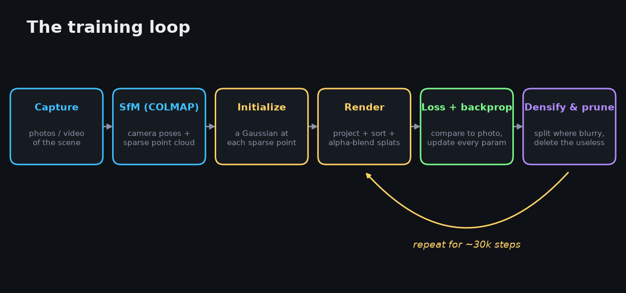 The training loop: capture, SfM, initialize, render, loss, densify and prune