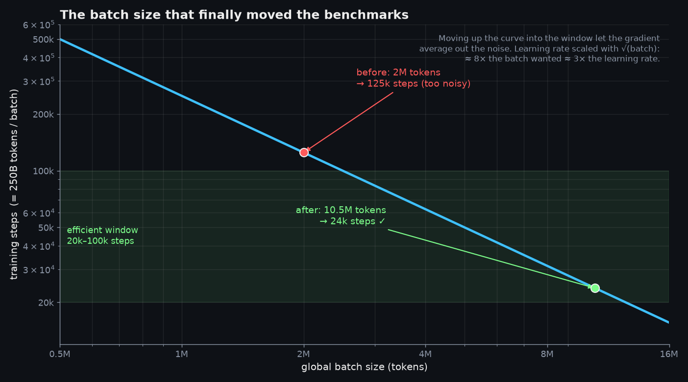 Training steps versus global batch size for a fixed 250B-token budget: the run started at 2M tokens / 125k steps, well above the efficient window, and moved to 10.5M tokens / 24k steps inside it